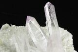 Attractive Amethyst Crystal Cluster - Las Vigas, Mexico #355023-1